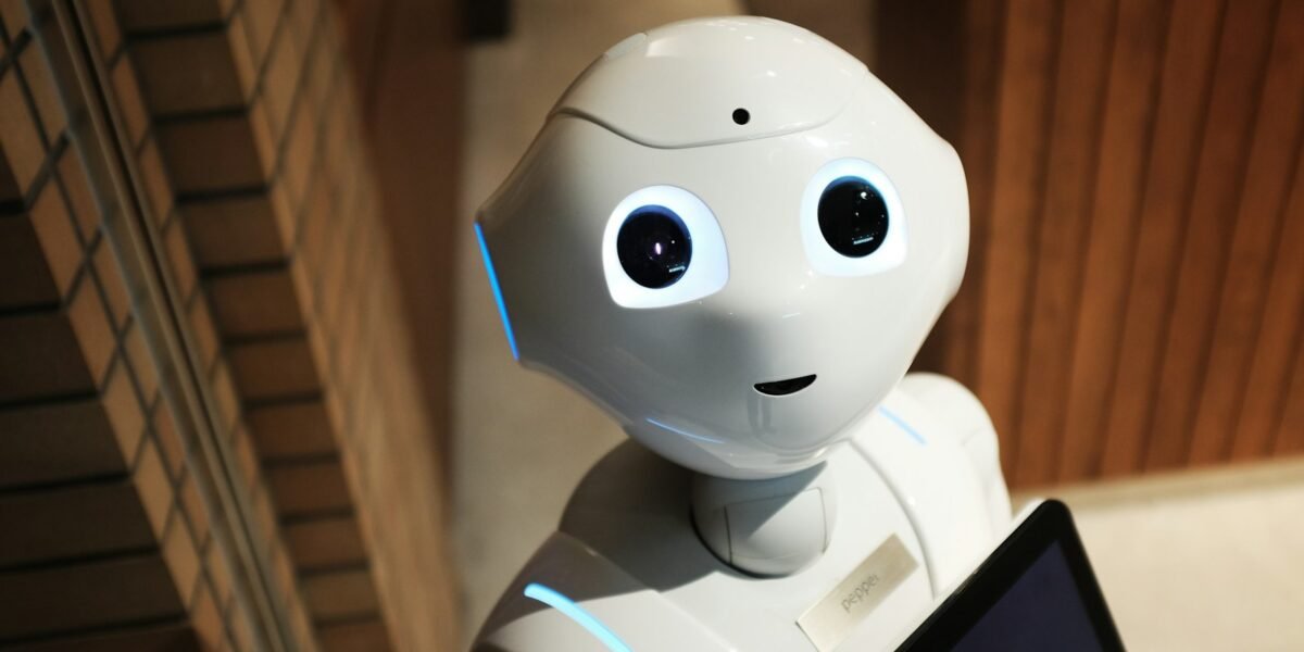 Robot and human collaboration workspace