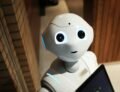 Robot and human collaboration workspace