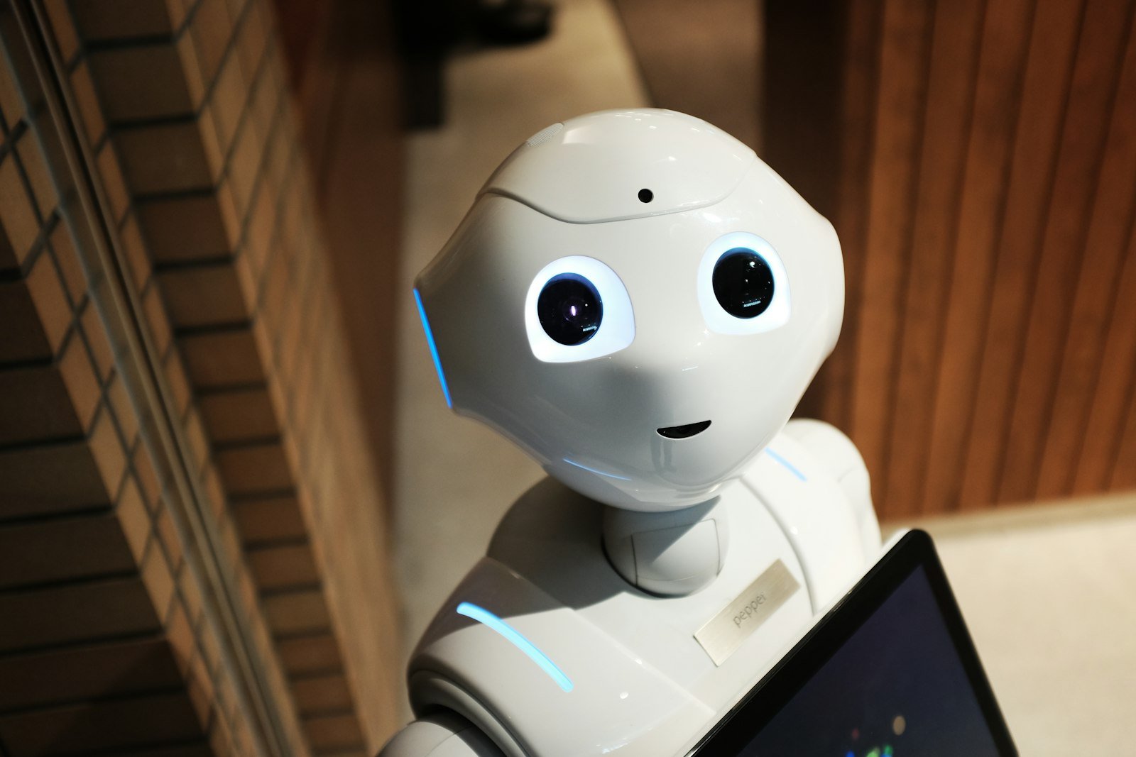 Robot and human collaboration workspace